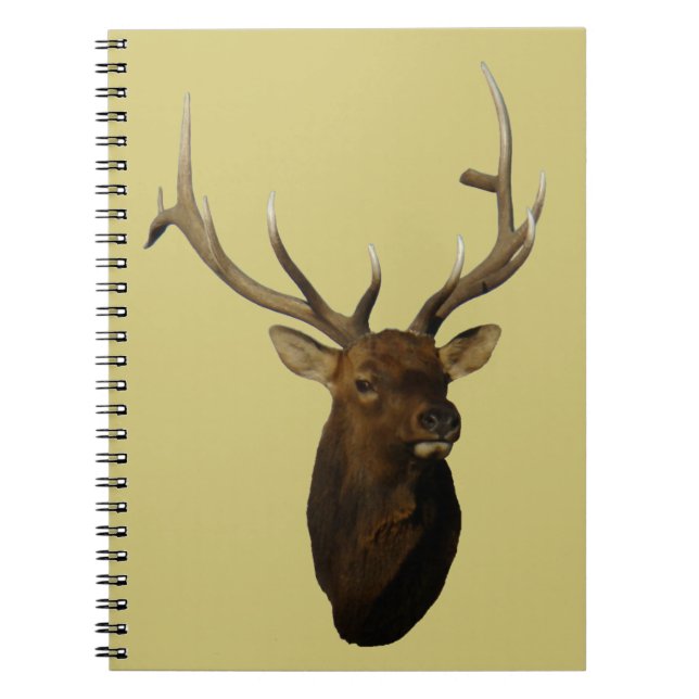 Caderno Espiral E51 Cabeça de Elk Bull (Frente)
