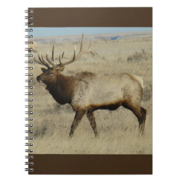 Caderno Espiral E55 Bull Elk
