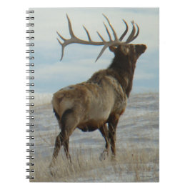 Caderno Espiral E58 Alce Touro Sorte 13