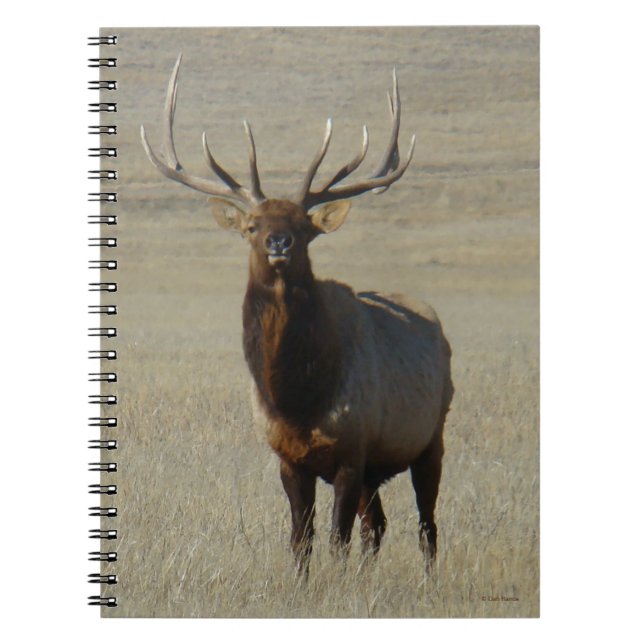 Caderno Espiral E59 Alce Macho (Frente)