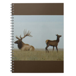 Caderno Espiral E5 Bull Elk e Yearling