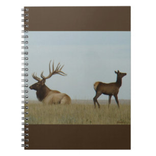Caderno Espiral E5 Touro Alce e Jovem