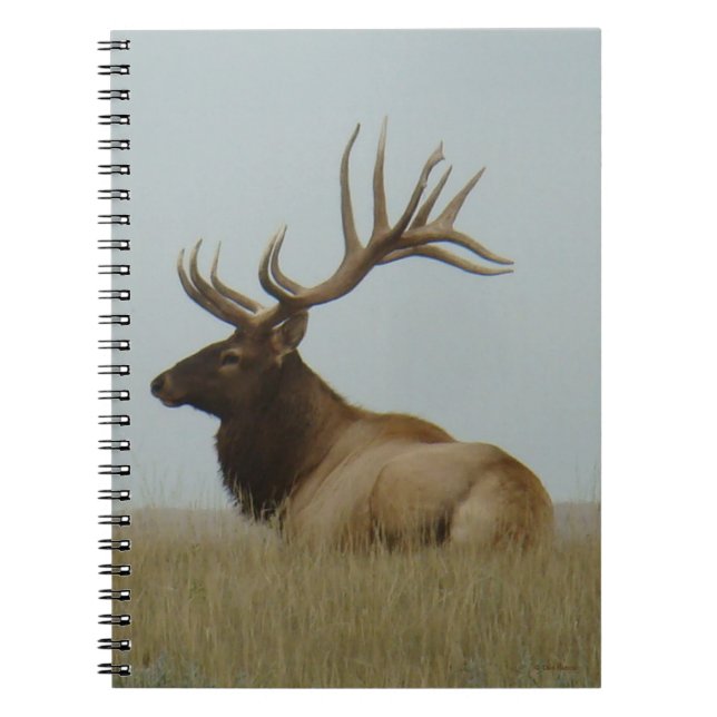 Caderno Espiral E5a Bull Elk Huge Bull (Frente)