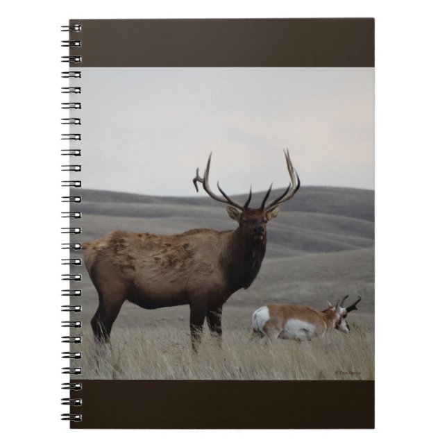 Caderno Espiral E63 Bull Elk e Pronghorn Antelope Buck (Frente)