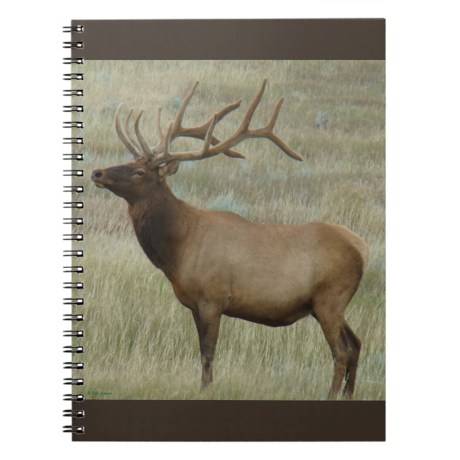 Caderno Espiral E8 Alce Macho em Veludo (Frente)
