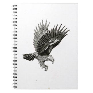 Caderno Espiral                                  Eagle by Light