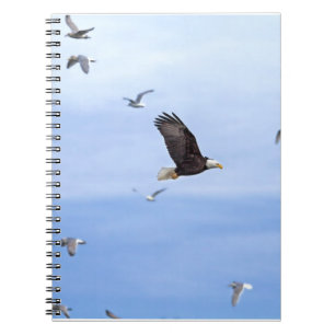 Caderno Espiral Eagle e voo das gaivotas