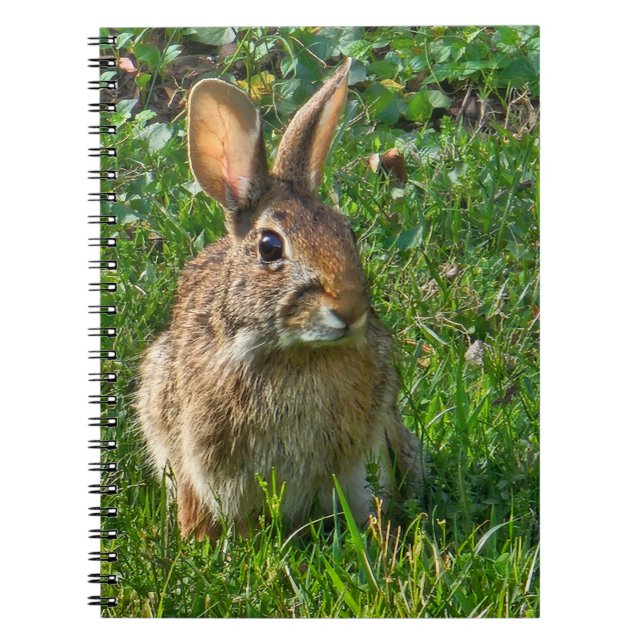 Caderno Espiral Eastern cottontail rabbit (Frente)