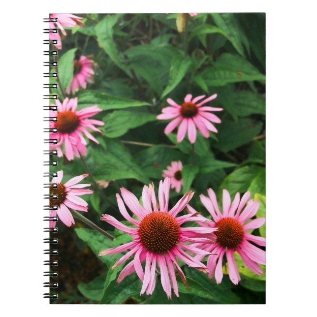 Caderno Espiral Echinacea Purpurea, Coneflower Roxo (Frente)