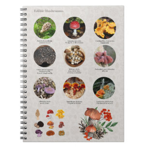 Caderno Espiral Edible Mushrooms Photos Guide Chart Journal
