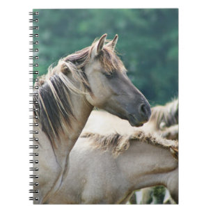 Caderno Espiral Efetivo de Cavalos de Brumby da Austrália