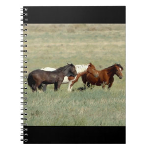 Caderno Espiral Efetivos de cavalos selvagens