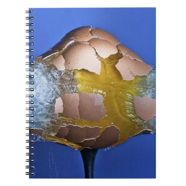 Caderno Espiral Eggceptional (Frente)