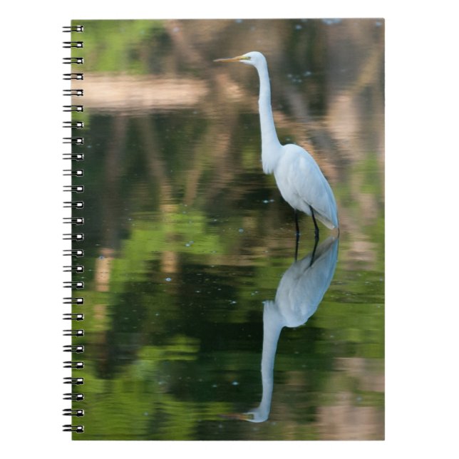 Caderno Espiral Egret Branco do excelente (Frente)