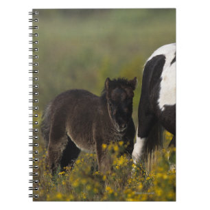 Caderno Espiral Égua & potro diminutos nas flores