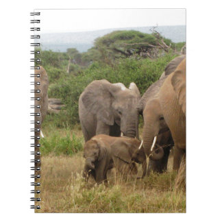 Caderno Espiral elefante