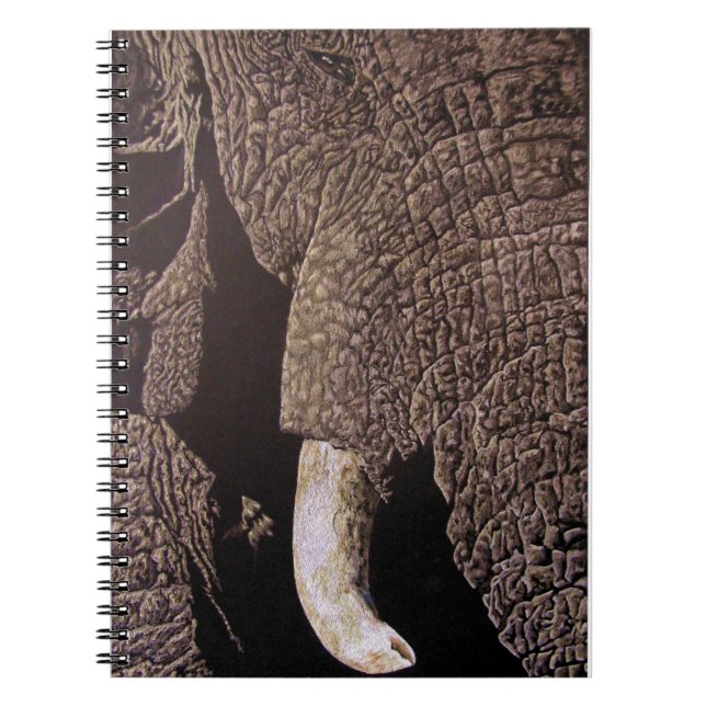 Caderno Espiral Elefante Bull (Frente)
