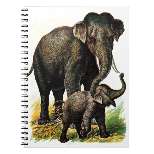 Caderno Espiral Elefante da mãe com vitela (Frente)