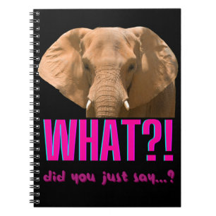 Caderno Espiral Elefante O Que Você Acabou de Dizer?