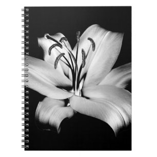 Caderno Espiral Elegância Floral Monocromática.