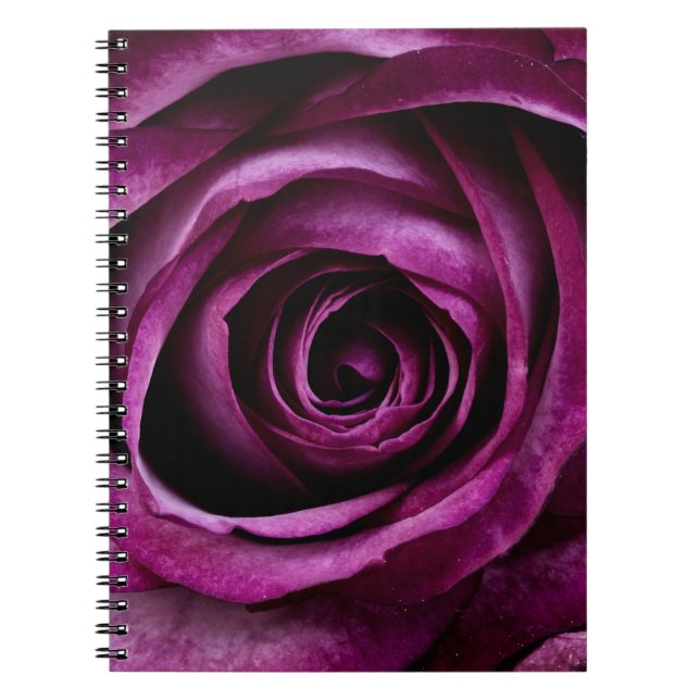 Caderno Espiral Elegant Purple Rose Close Up (Frente)