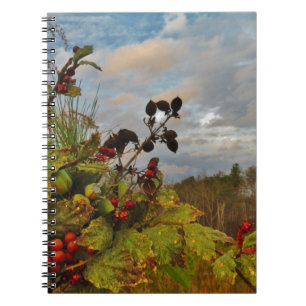 Caderno Espiral Elegante Holly Christmas,