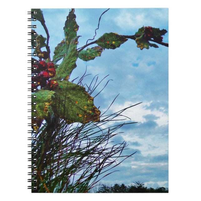 Caderno Espiral Elegante Holly Christmas, céu azul (Frente)