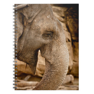 CADERNO ESPIRAL ELEPHANT
