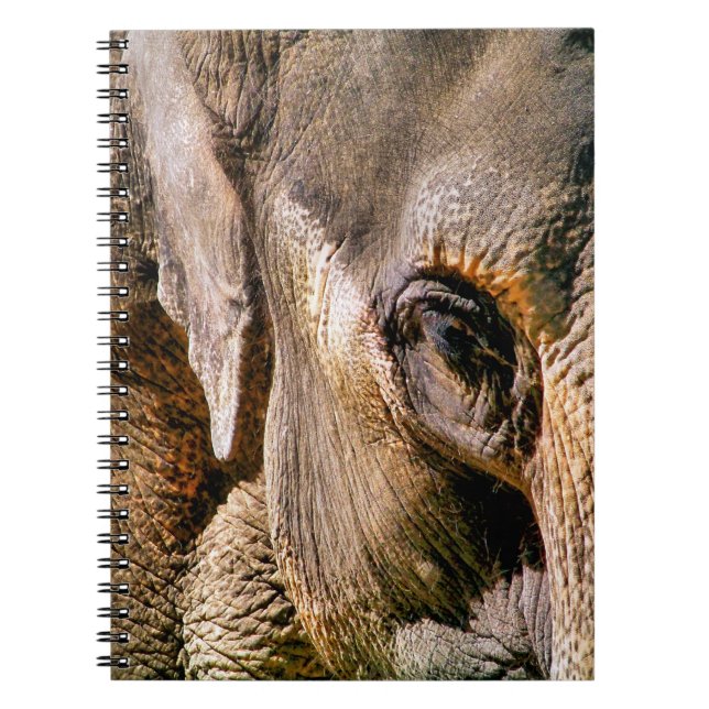 CADERNO ESPIRAL ELEPHANT (Frente)