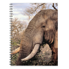 Caderno Espiral Elephant Lovers Wildlife