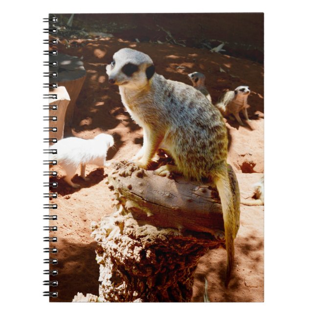 Caderno Espiral Eliza Rainha Dos Meerkats, Notebook (Frente)