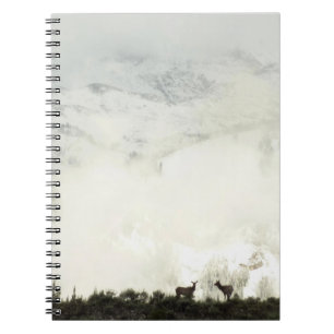 Caderno Espiral Elk no Grand Teton National Park Fotografia