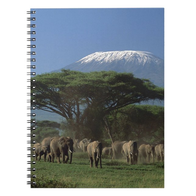 Caderno Espiral Elphants of Mt.Kilimanjaro (Frente)