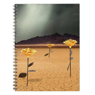 Caderno Espiral Em algum lugar nº 3