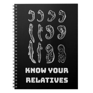 Caderno Espiral Embriogênese Evolutiva