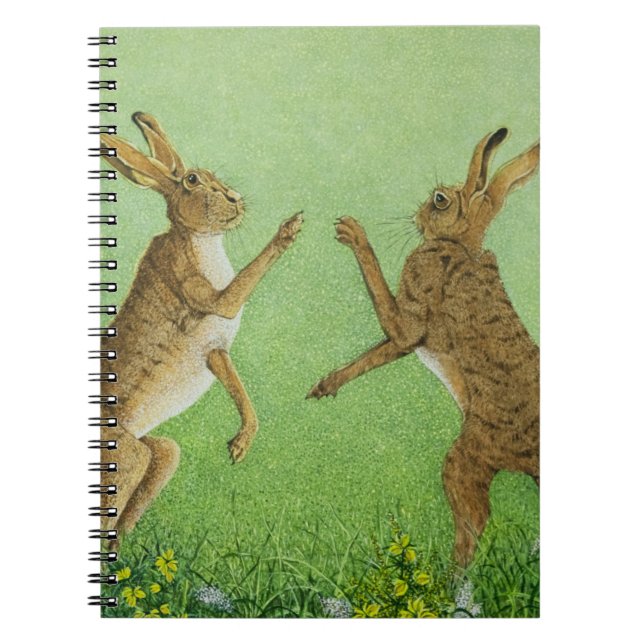 Caderno Espiral Encaixotamento inteligente (Frente)