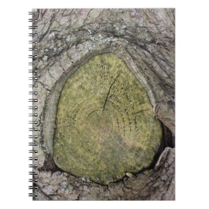 Caderno Espiral Encerramento da ramificação da árvore