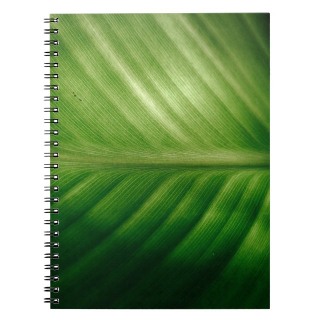 Caderno Espiral Encerramento do elaf verde (Frente)