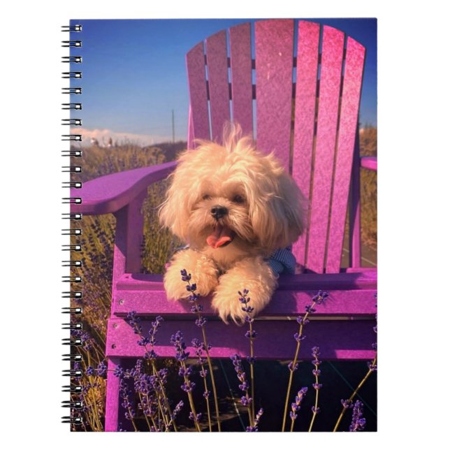 Caderno Espiral Energetic Toy Shih Tzu Puppy, Happy Dog Relaxing (Frente)