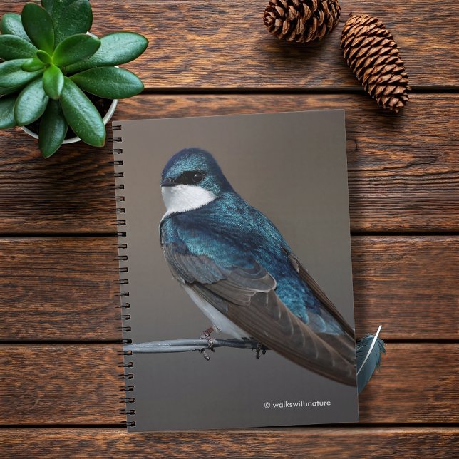 Caderno Espiral Engorda de árvore bonito: pássaro em um fio (Handsome Tree Swallow on a Wire Journal Cover Photo)