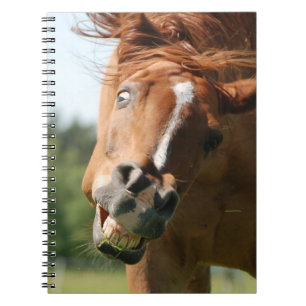 Caderno Espiral Engraçada Cara de Cavalo com Lábios Enrolados, Olh