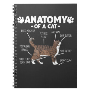 Caderno Espiral Engraçado Anatomia de um Gatinho Gato, dono de um 