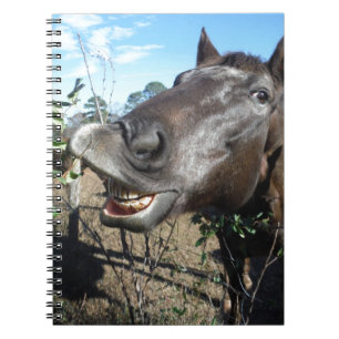 Caderno Espiral Engraçado Cavalo castanho