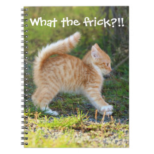 Caderno Espiral Engraçado Ginger Kitten. Que merda é essa?