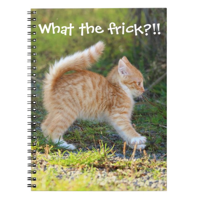Caderno Espiral Engraçado Ginger Kitten. Que merda é essa? (Frente)