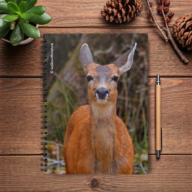 Caderno Espiral Engraçado jovem Blacktail Deer sorri para o fotógr (Young Blacktail Deer Stares at the Photographer Journal Cover Photo)