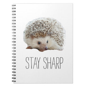 Caderno Espiral Engraçado ouriço bonitinho, mantenha-se afiado,