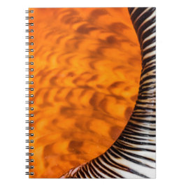 Caderno Espiral Enxertia em rede
