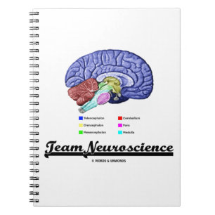 Caderno Espiral Equipe de Neurociência (atitude de anatomia cerebr