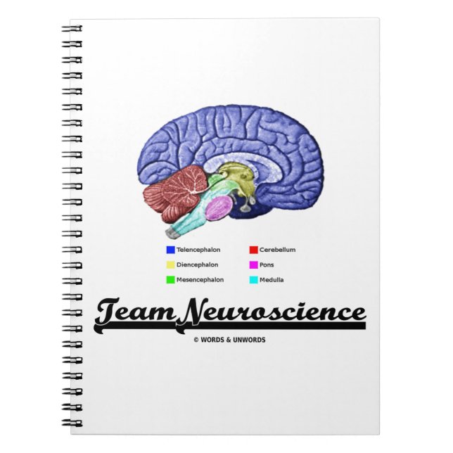 Caderno Espiral Equipe de Neurociência (atitude de anatomia cerebr (Frente)